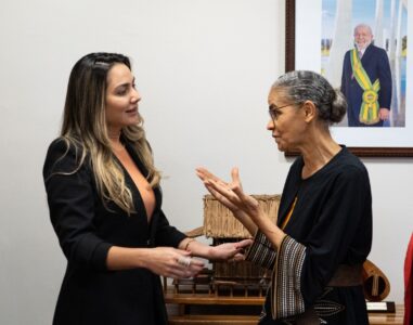 Senadora Ana Paula Lobato reforça compromisso ambiental em reunião com ministra Marina Silva
